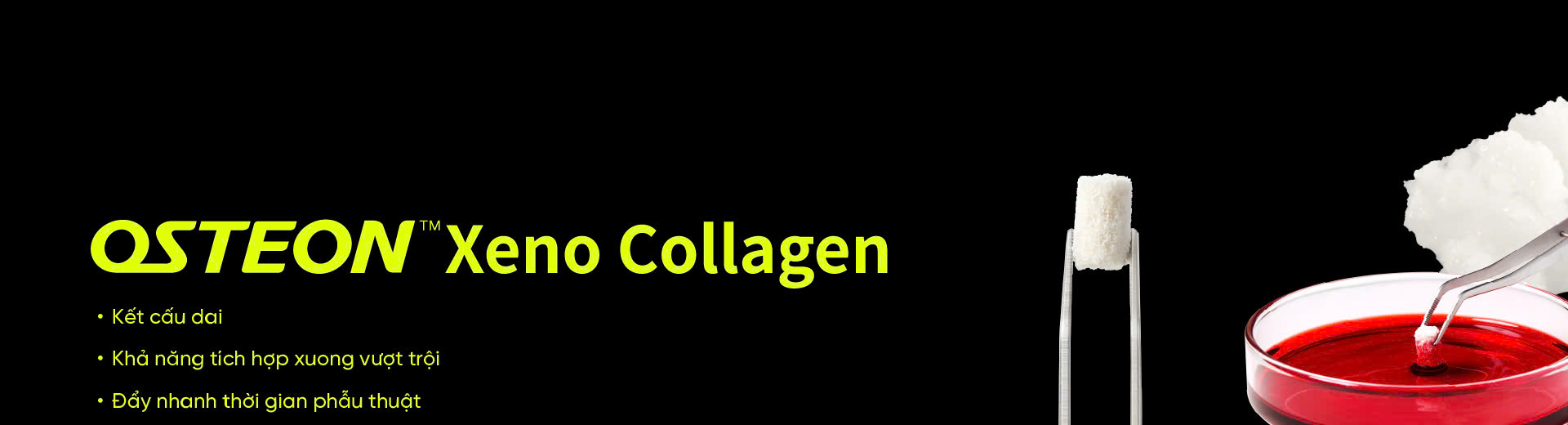 OSTEON™ Xeno Collagen