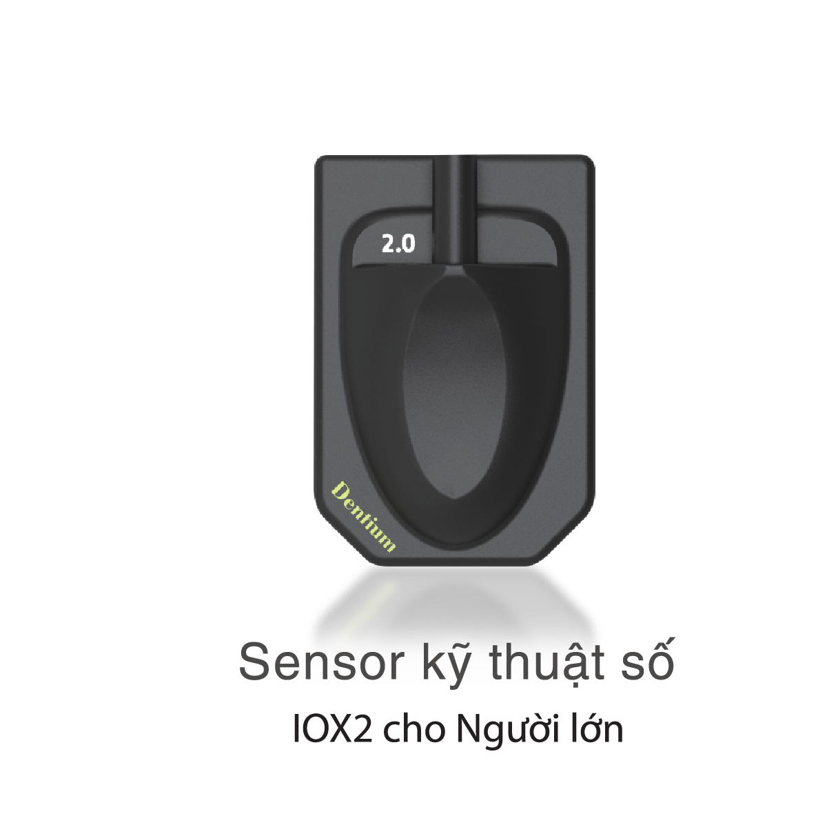 Intraoral Sensor IOX 2